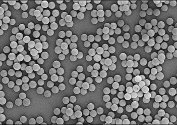 Polystyrene microspheres (P/ST)