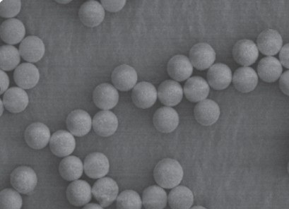 Fluorescent Microspheres