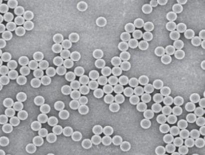 Other Microspheres (SiO2��PMMA, PGMA) 